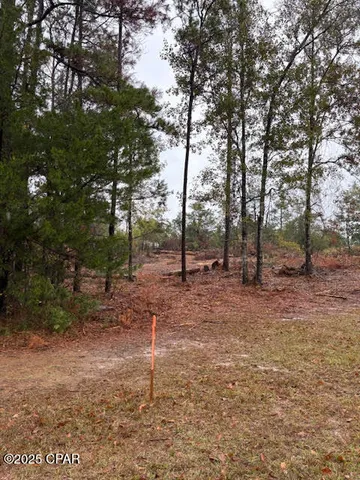 $35,500 | 4593 Meadowview Road, Marianna, FL 32446