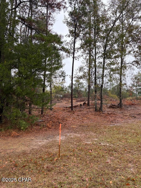 4593 Meadowview Road Marianna, FL 32446 - Photo 2 of 10