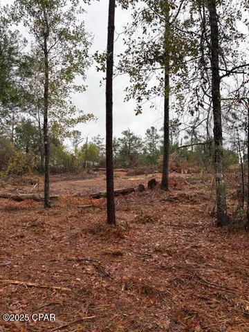 $35,500 | 4593 Meadowview Road, Marianna, FL 32446