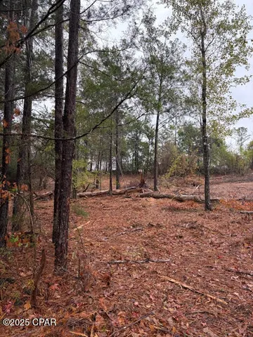 $35,500 | 4593 Meadowview Road, Marianna, FL 32446