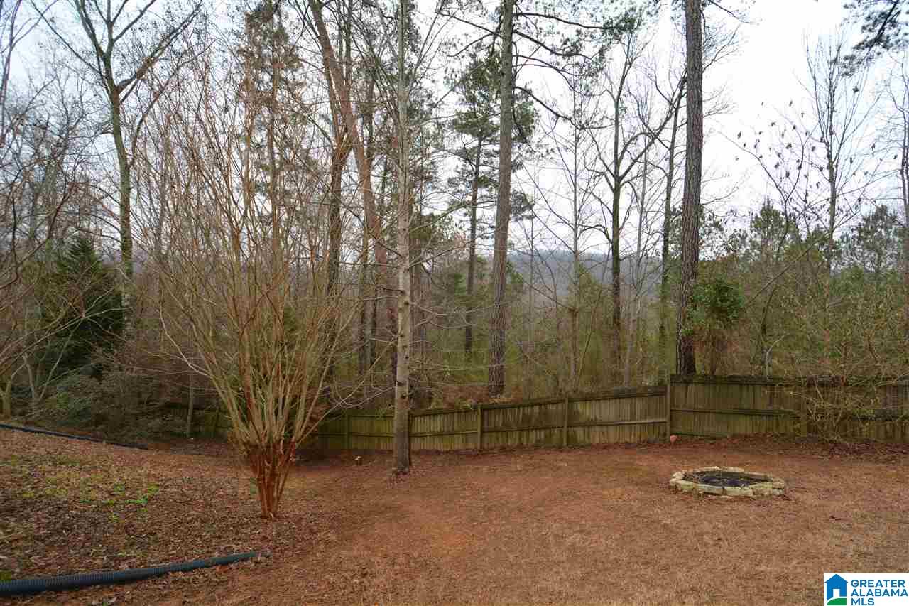 141 Walters Cove Sterrett, AL 35147 - Photo 43 of 45