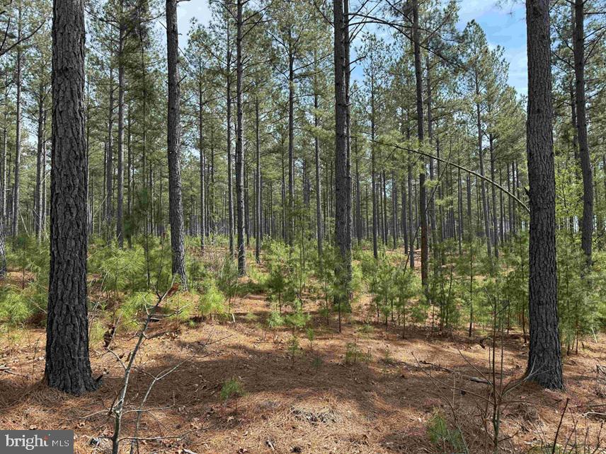 North Flint Hill Road Chatham, VA 24531 - Photo 2 of 15