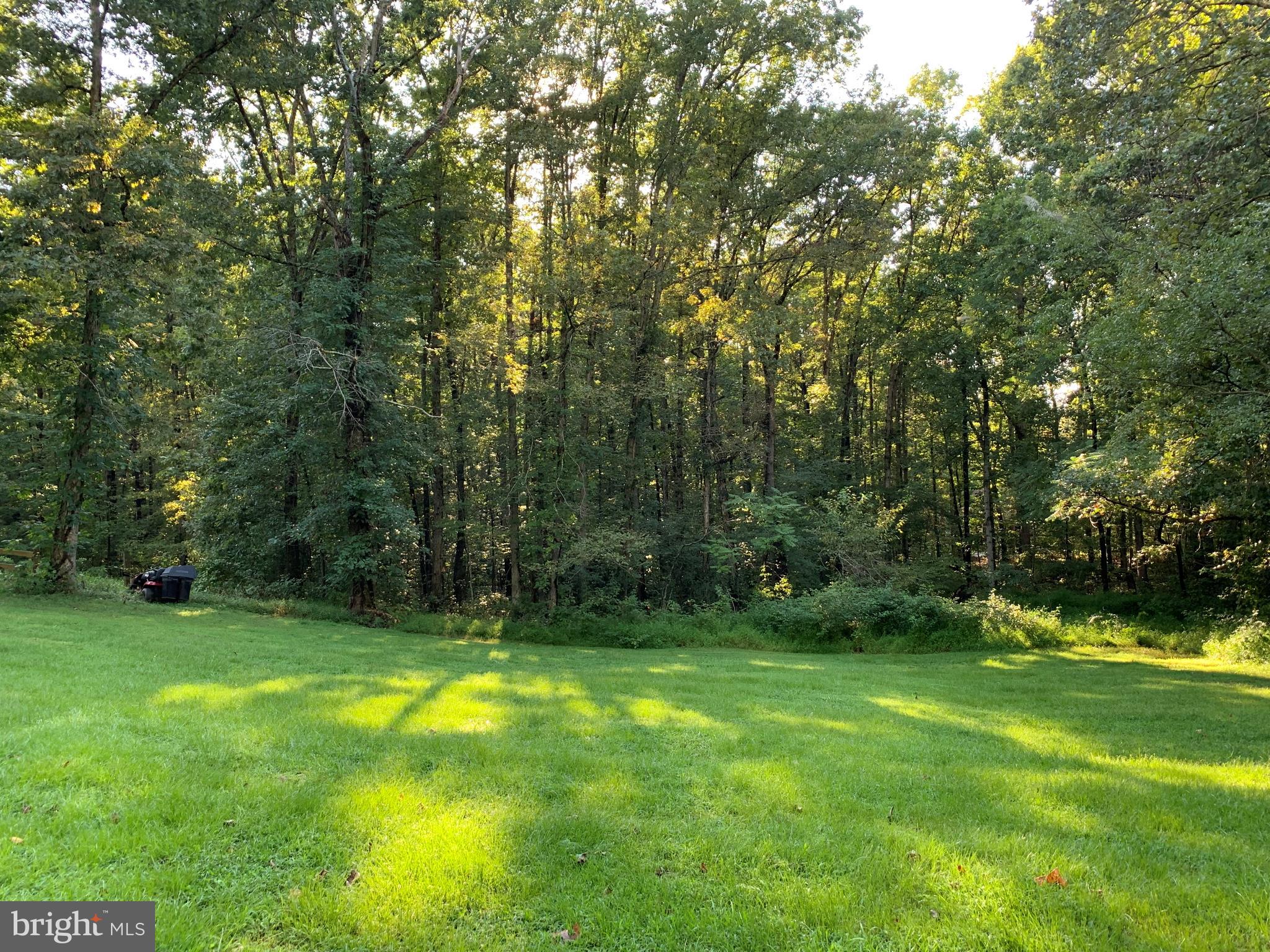 13238 Scotts Mill Road Culpeper, VA 22701 - Photo 2 of 21 Rear of Property