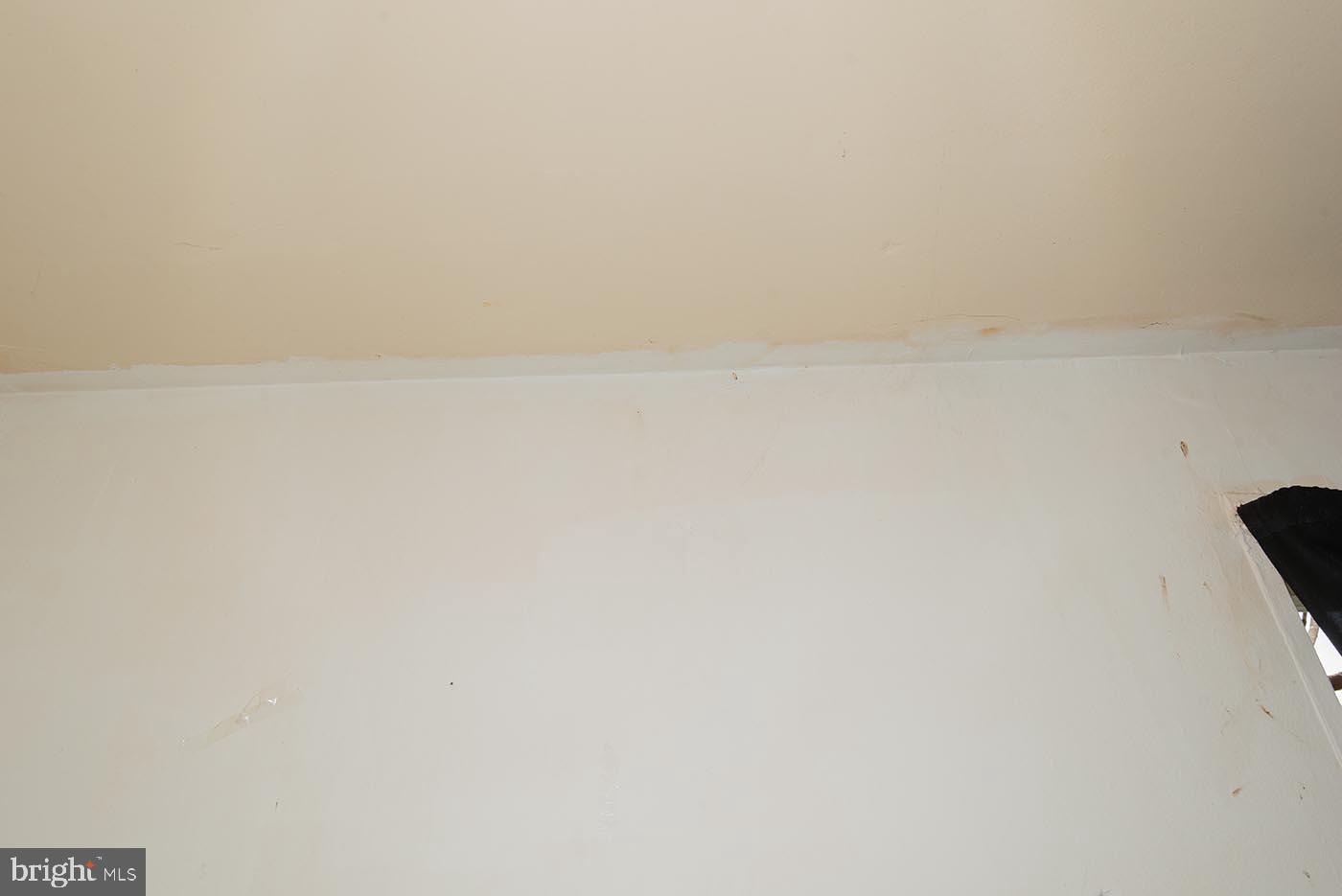 4774 South Capitol Terrace Southwest Washington, DC 20032 - Photo 30 of 150 Apartment A