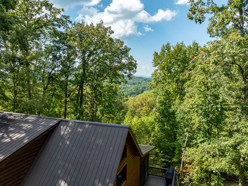 329 Carlie Trail Blue Ridge, GA 30513 - Photo 11 of 57