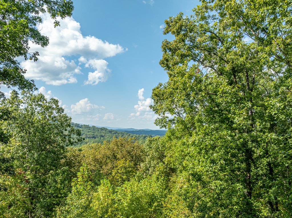 329 Carlie Trail Blue Ridge, GA 30513 - Photo 15 of 57