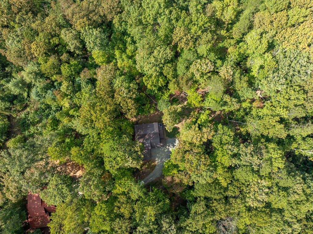 329 Carlie Trail Blue Ridge, GA 30513 - Photo 16 of 57