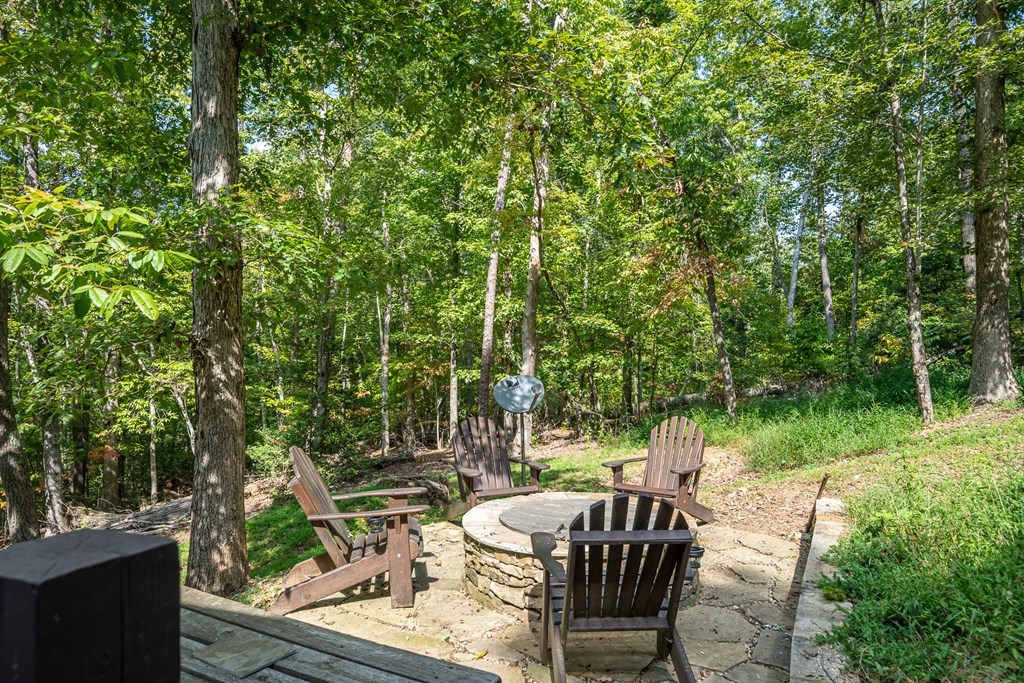 329 Carlie Trail Blue Ridge, GA 30513 - Photo 18 of 57