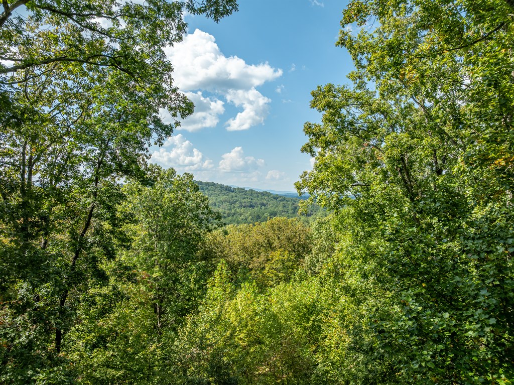 329 Carlie Trail Blue Ridge, GA 30513 - Photo 3 of 57