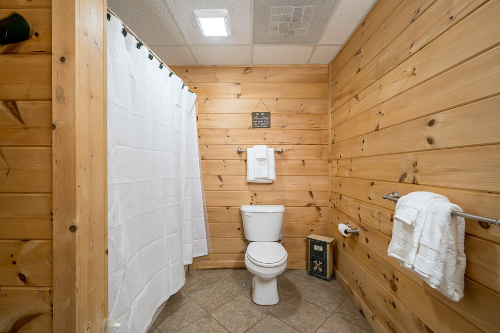 329 Carlie Trail Blue Ridge, GA 30513 - Photo 49 of 57