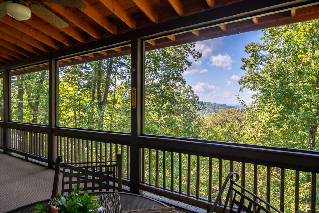 329 Carlie Trail Blue Ridge, GA 30513 - Photo 54 of 57