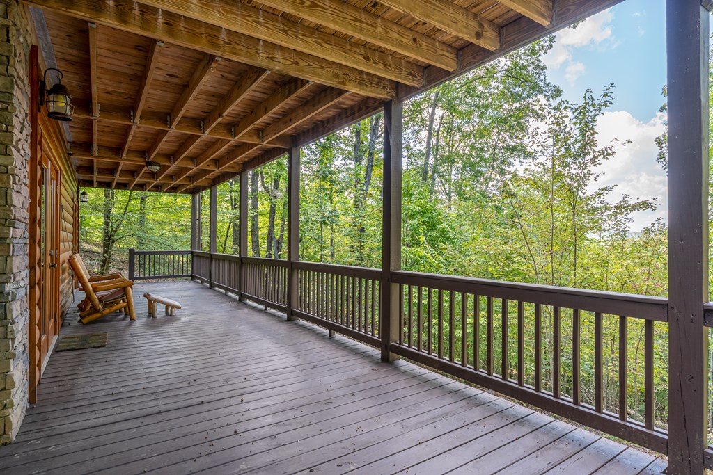 329 Carlie Trail Blue Ridge, GA 30513 - Photo 55 of 57