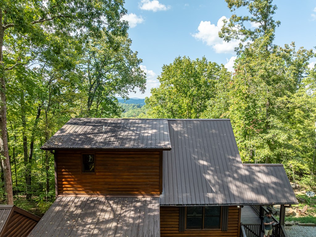 329 Carlie Trail Blue Ridge, GA 30513 - Photo 9 of 57