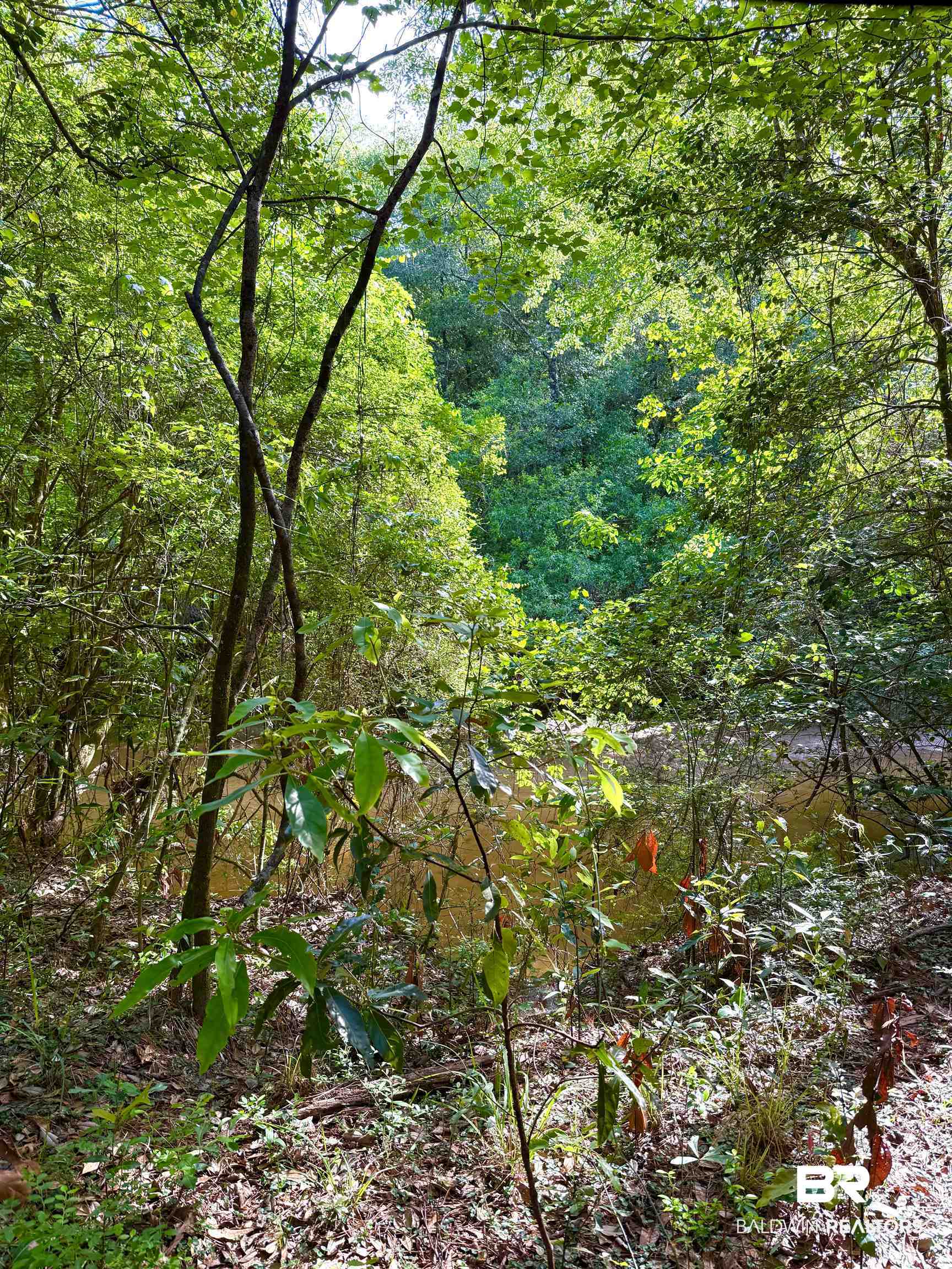 1 Mason Ferry Road Citronelle, AL 36522 - Photo 22 of 40 Image quality insufficient for description