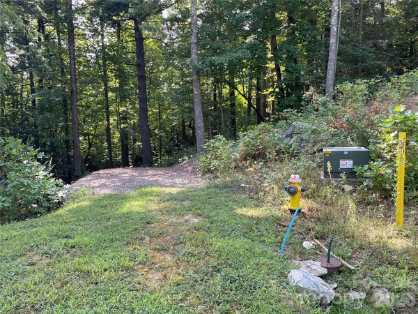 a view of a yard with a tree