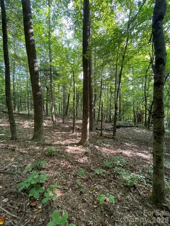 a view of outdoor space with trees all around