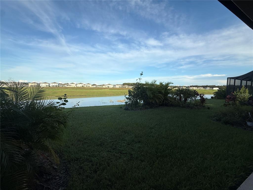 10958 Rustic Timber Loop San Antonio, FL 33576 - Photo 38 of 44