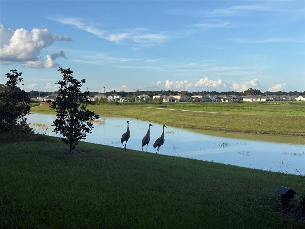 10958 Rustic Timber Loop San Antonio, FL 33576 - Photo 42 of 44