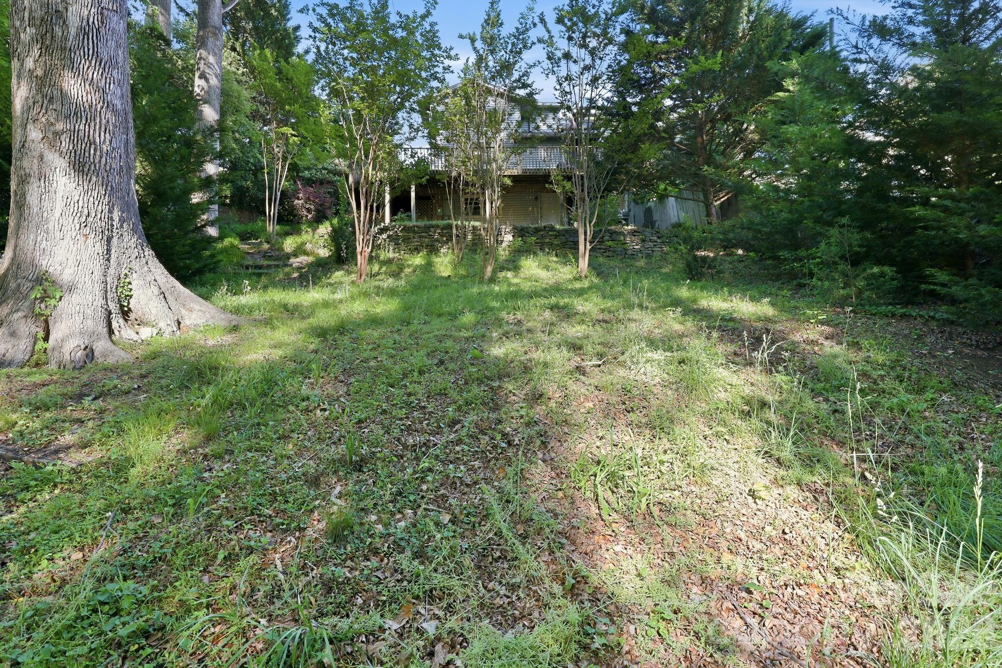 150 Pacolet Street Tryon, NC 28782 - Photo 38 of 48