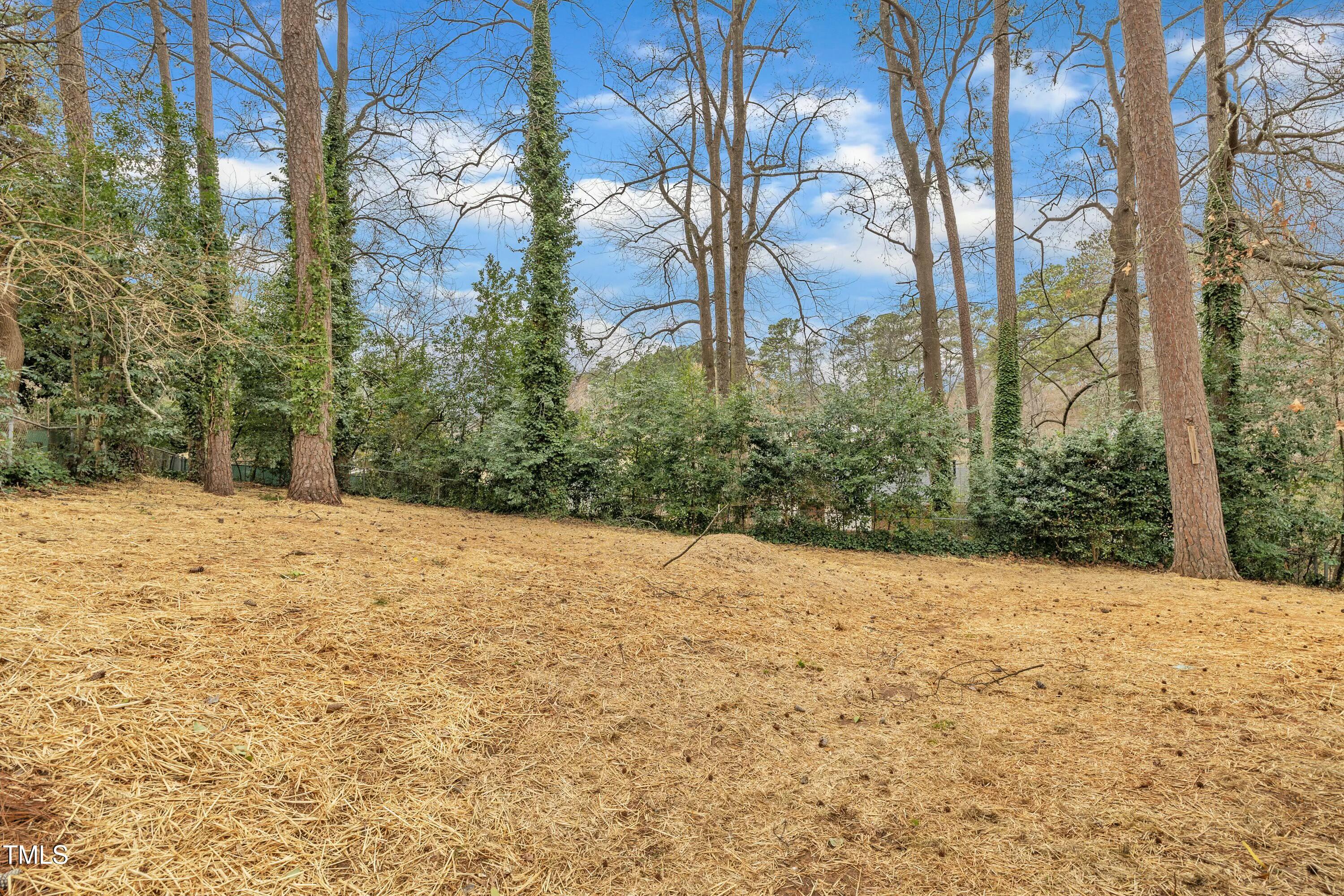 2113 Lawrence Drive Raleigh, NC 27603 - Photo 38 of 38 tempImage8wEYaD