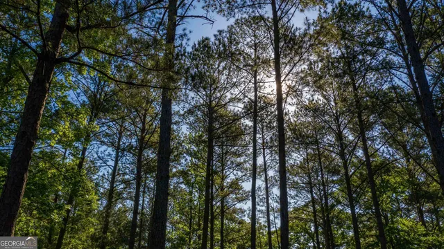 a view of a swimming pool with a large window and an entrance