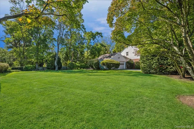 a view of green field with trees