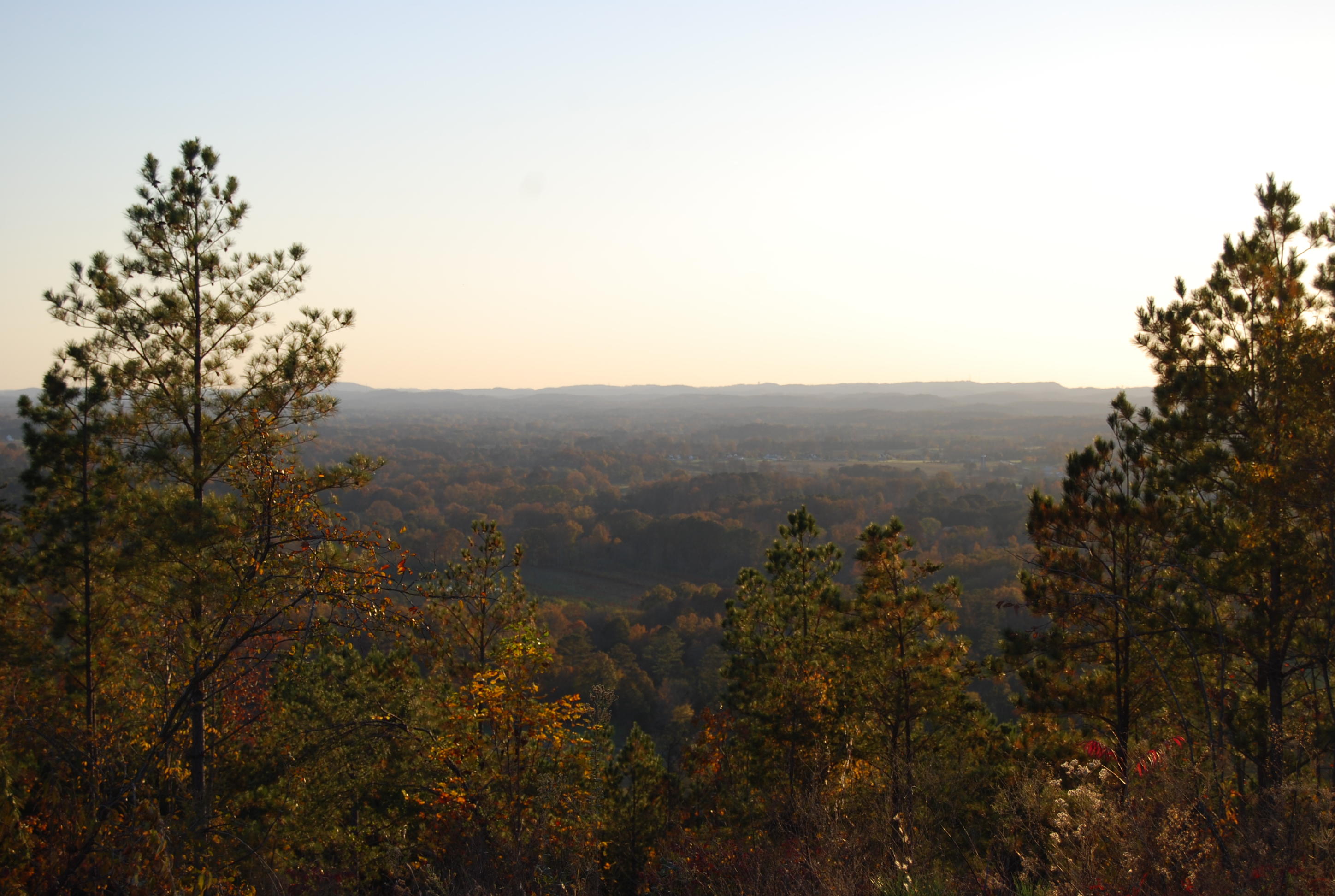 124 Northwest Nesting Ridge Road, Unit 20 Cleveland, TN 37312 - Photo 28 of 31 Falcon Crest 2