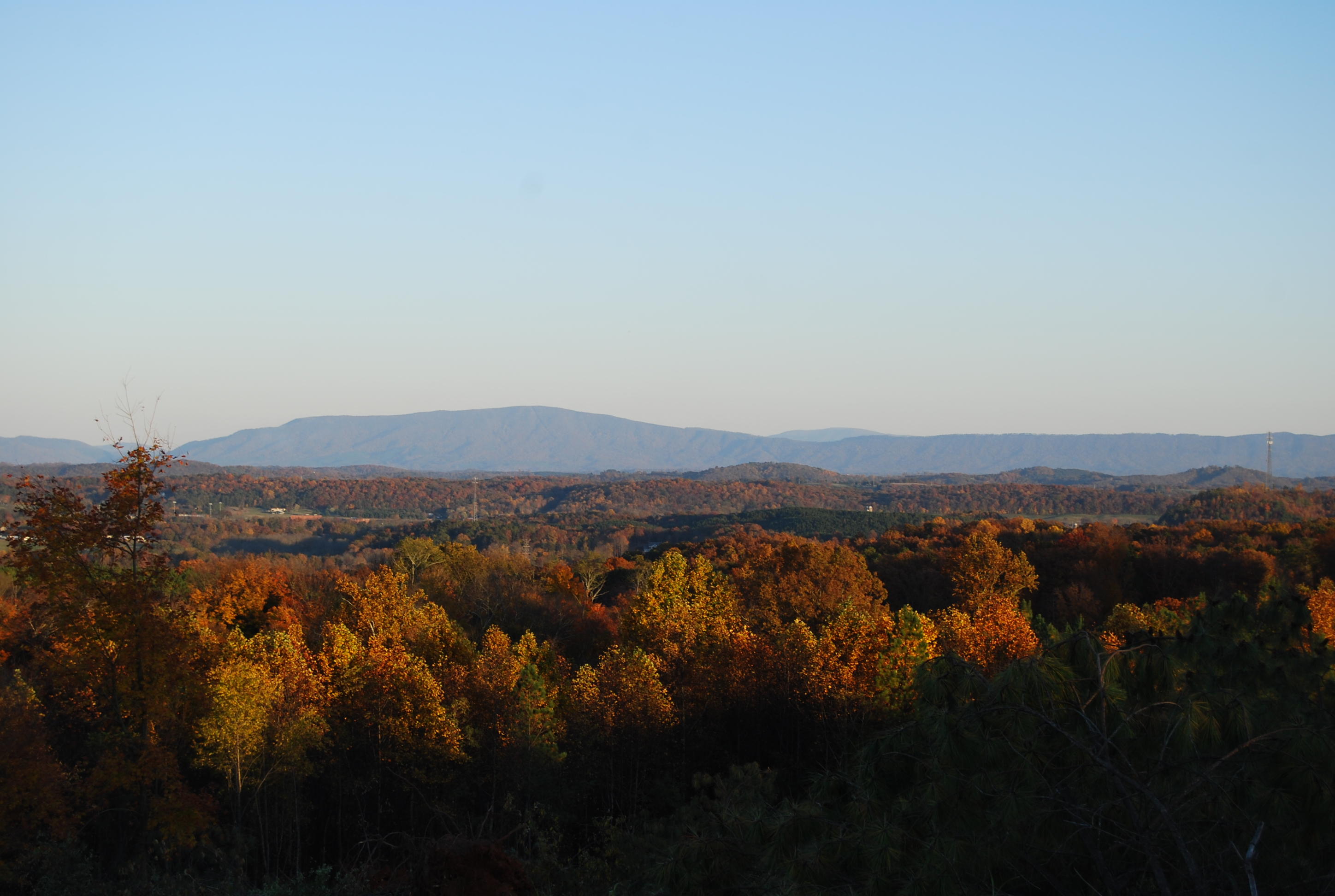 124 Northwest Nesting Ridge Road, Unit 20 Cleveland, TN 37312 - Photo 29 of 31 Falcon Crest View