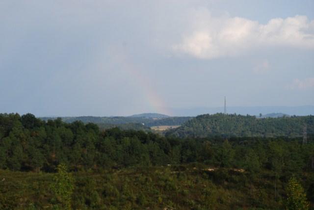 124 Northwest Nesting Ridge Road, Unit 20 Cleveland, TN 37312 - Photo 30 of 31 Falcon Crest