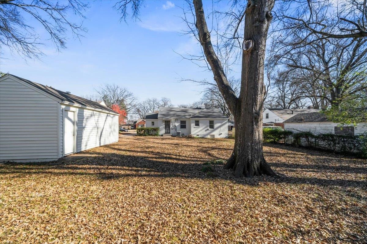 753 Ivy Road Memphis, TN 38117 - Photo 22 of 25 a view of a yard with large tree