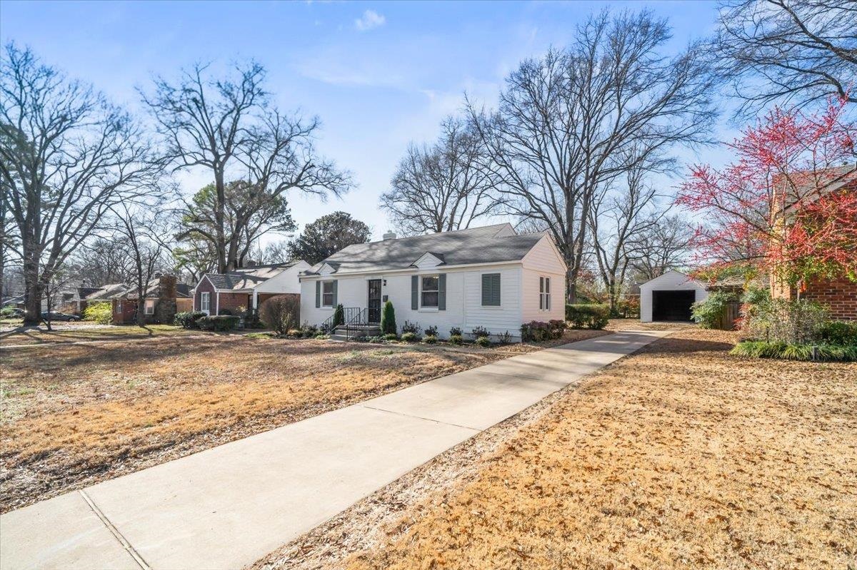753 Ivy Road Memphis, TN 38117 - Photo 3 of 25 a view of a yard with a large tree
