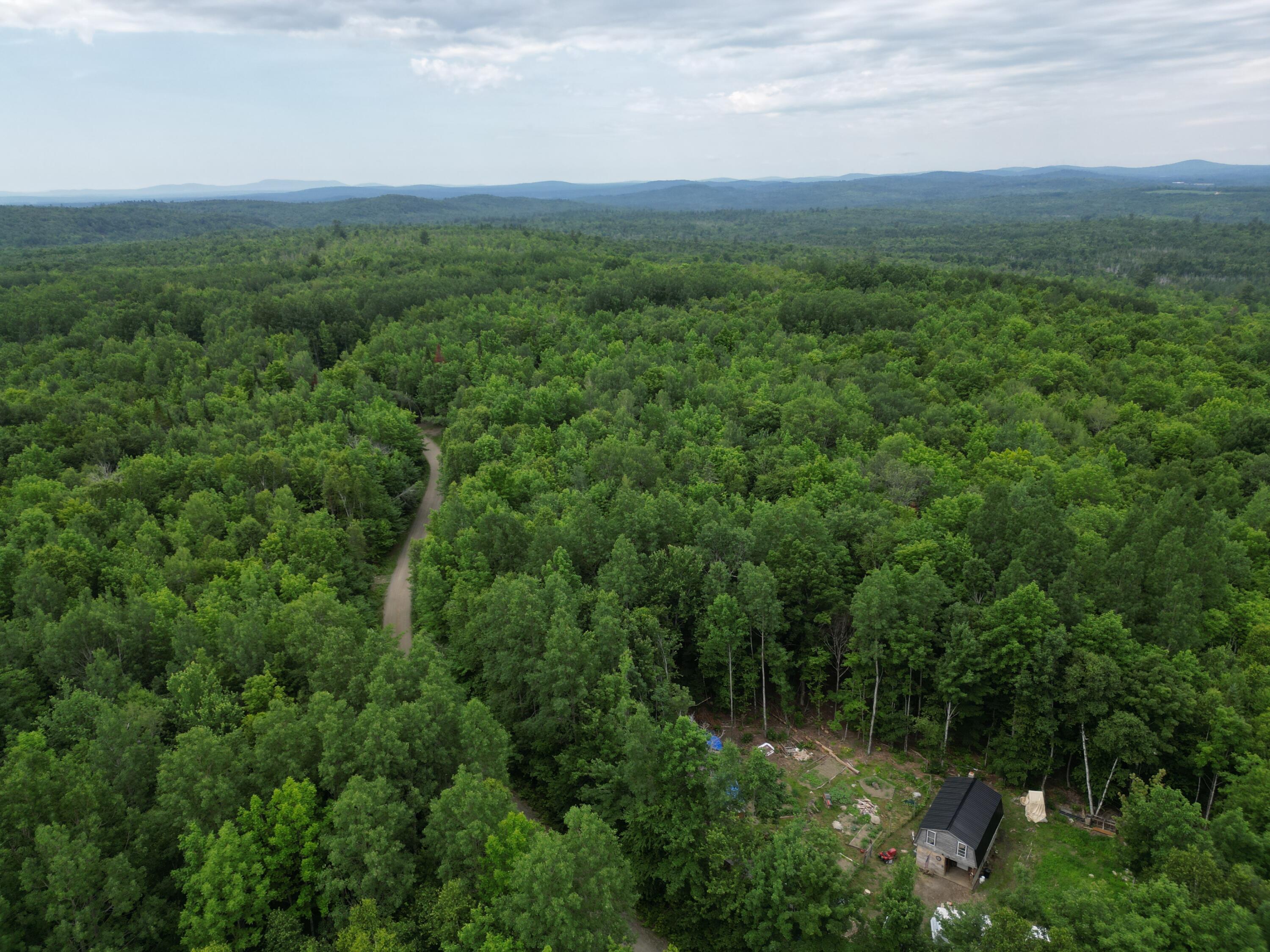 135 Clearcut Lodge Road Springfield, ME 04487 - Photo 19 of 23 DJI_0900