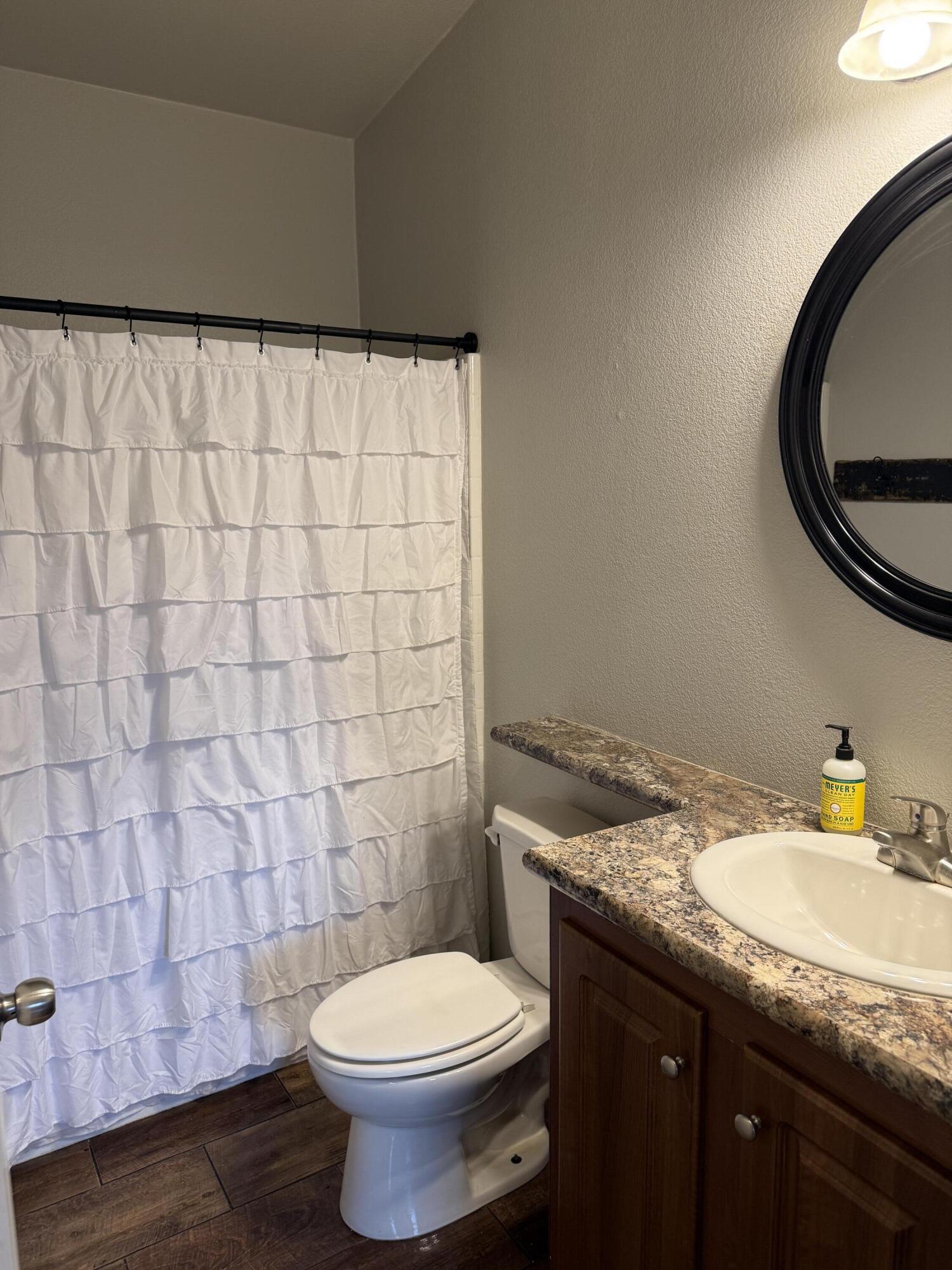 345 Old Mill Road Tonto Basin, AZ 85553 - Photo 18 of 32 Guest bathroom