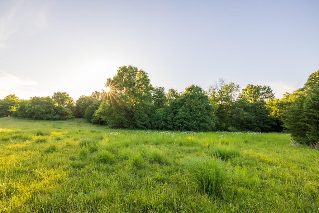 521 Southwest 301st Road Warrensburg, MO 64093 - Photo 59 of 80
