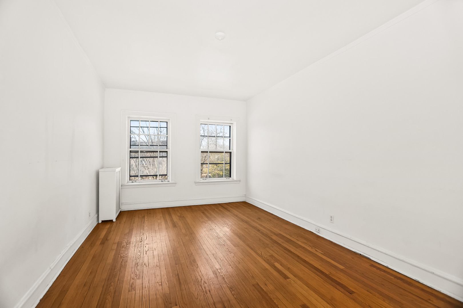 439 Ridge Avenue, Unit 2 Evanston, IL 60202 - Photo 15 of 20 Gallery Image 15