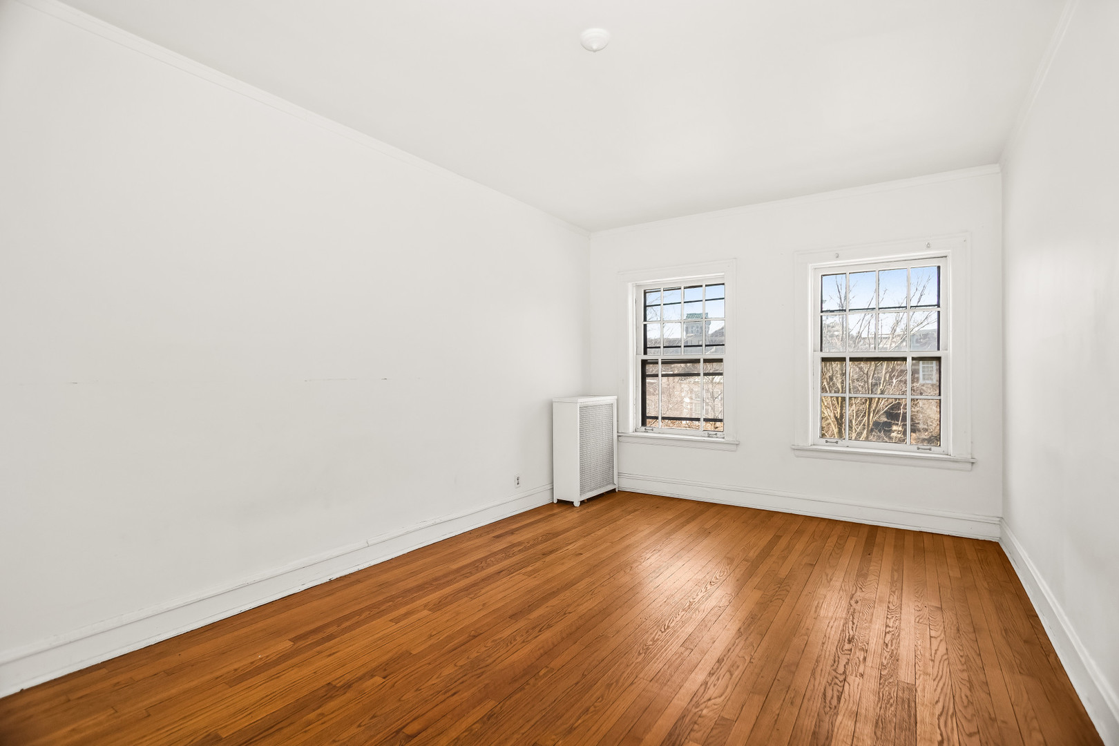 439 Ridge Avenue, Unit 2 Evanston, IL 60202 - Photo 16 of 20 Gallery Image 16