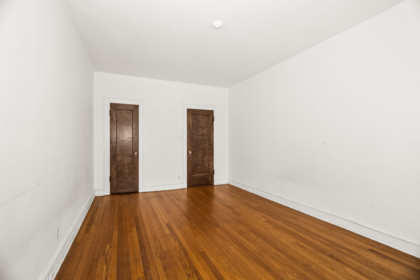 439 Ridge Avenue, Unit 2 Evanston, IL 60202 - Photo 17 of 20 Gallery Image 17