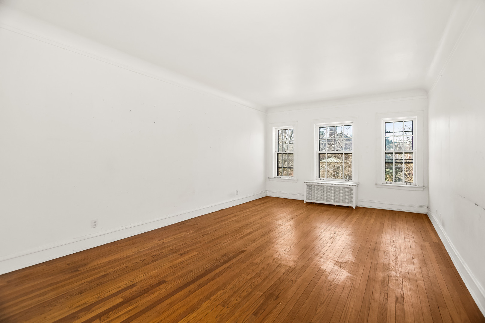 439 Ridge Avenue, Unit 2 Evanston, IL 60202 - Photo 4 of 20 Gallery Image 4