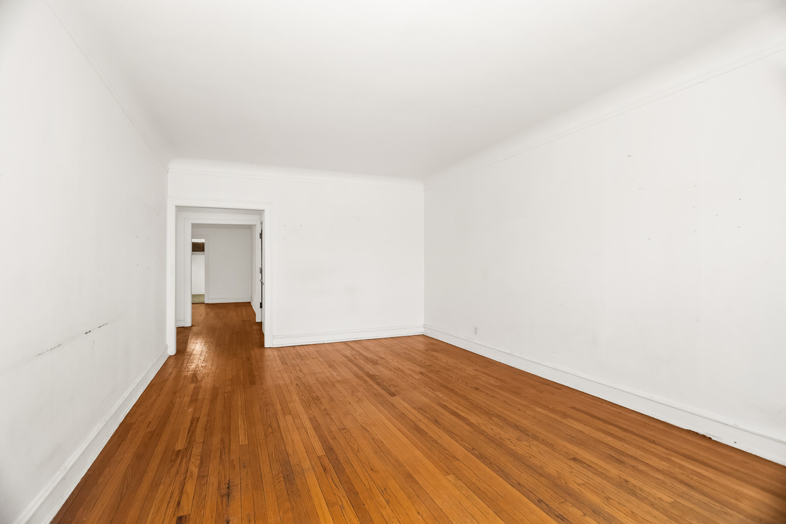 439 Ridge Avenue, Unit 2 Evanston, IL 60202 - Photo 5 of 20 Gallery Image 5