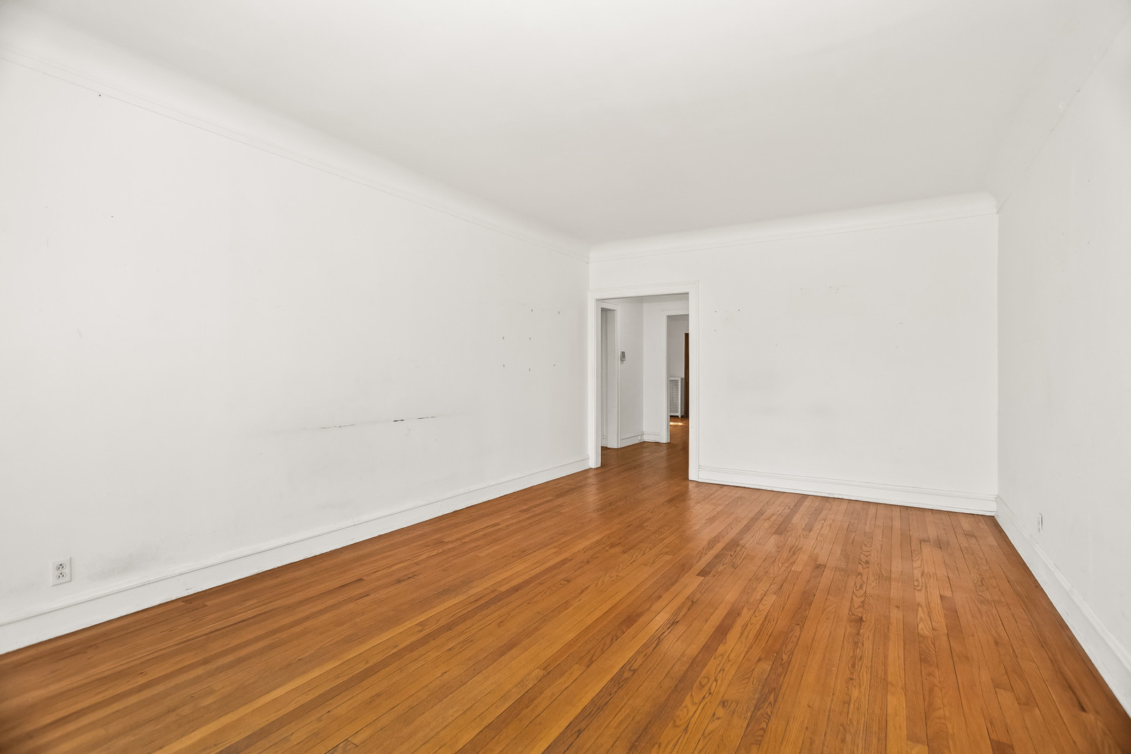 439 Ridge Avenue, Unit 2 Evanston, IL 60202 - Photo 6 of 20 Gallery Image 6
