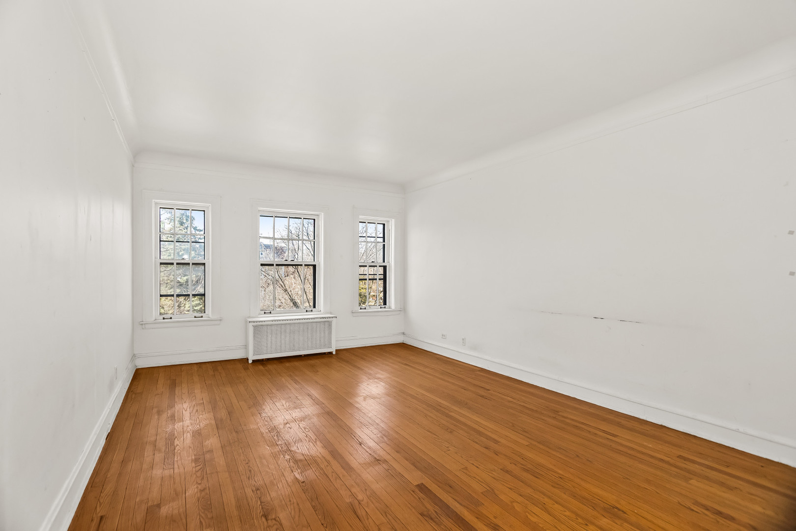 439 Ridge Avenue, Unit 2 Evanston, IL 60202 - Photo 7 of 20 Gallery Image 7
