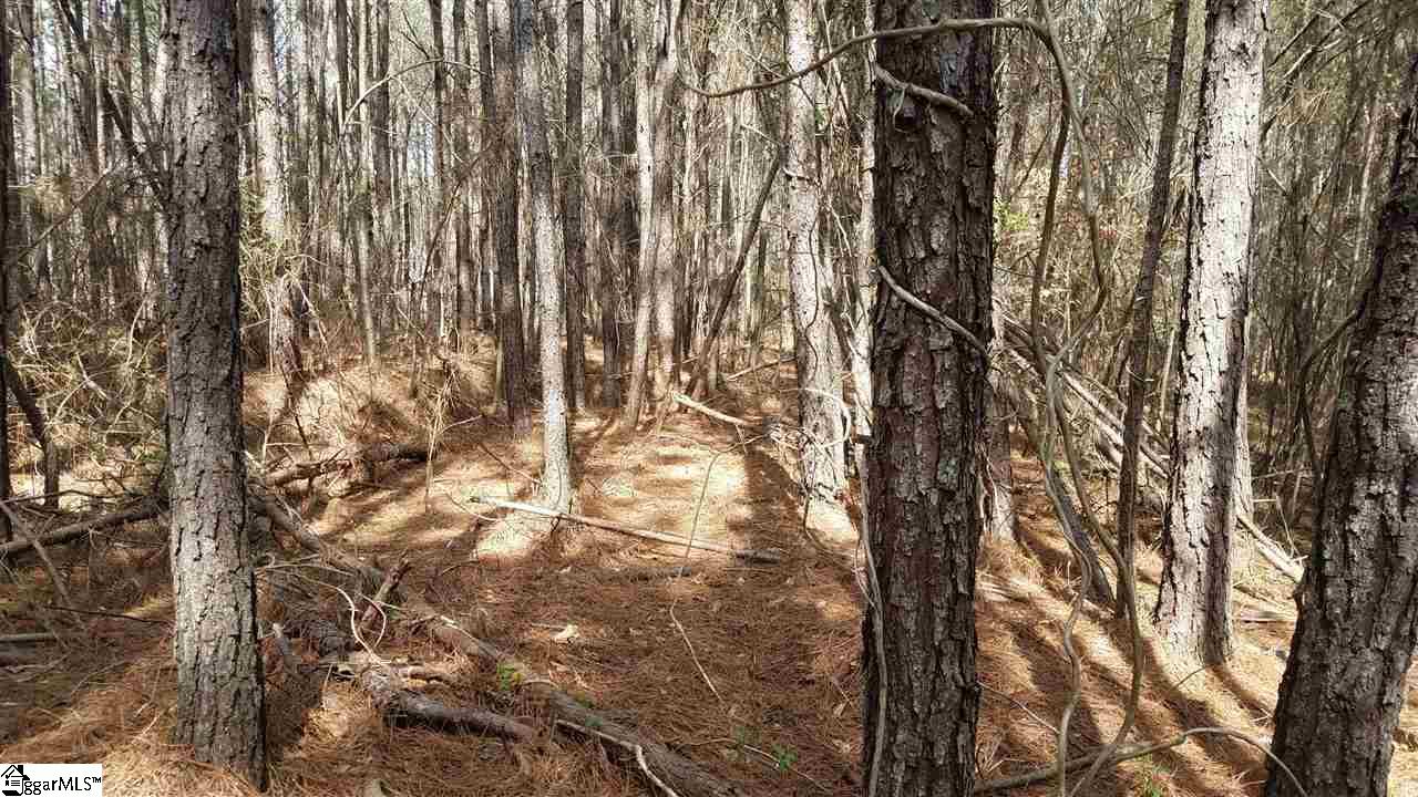 861 North Homestead Road Pickens, SC 29671 - Photo 3 of 12