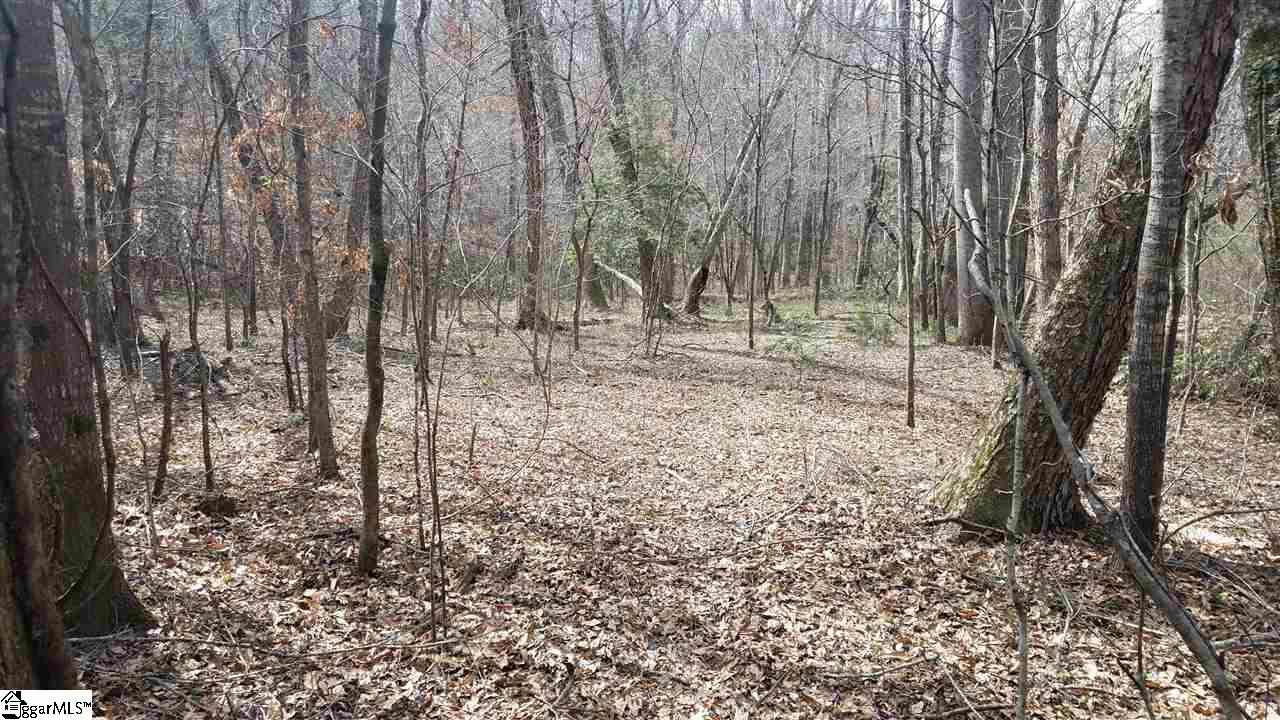 861 North Homestead Road Pickens, SC 29671 - Photo 5 of 12
