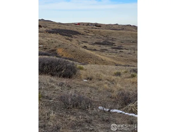 a view of a dry yard