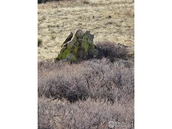 a view of a dry yard with mountain view