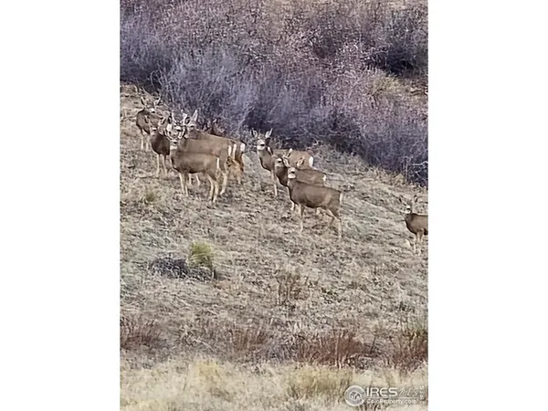 a view of ocean view