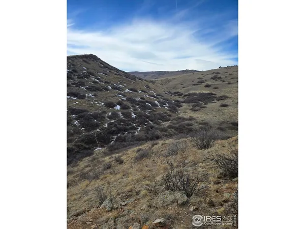 a view of a dry yard