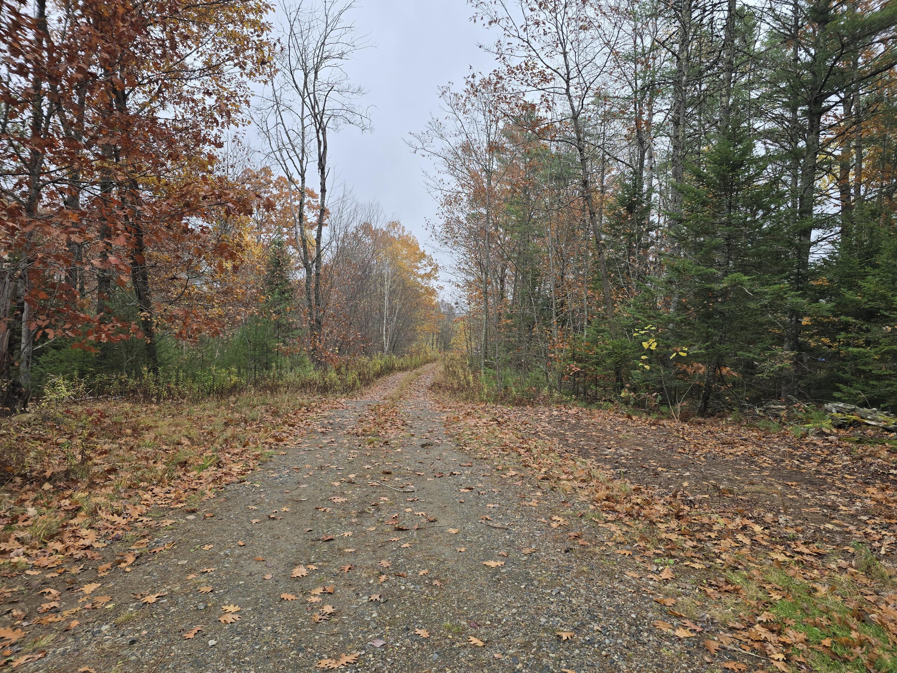0 West Alna Road Alna, ME 04535 - Photo 2 of 11 20251030_160917
