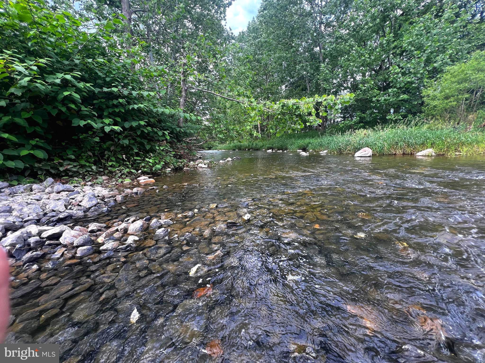12125 State Road 259 Mathias, WV 26812 - Photo 39 of 40 Lost River