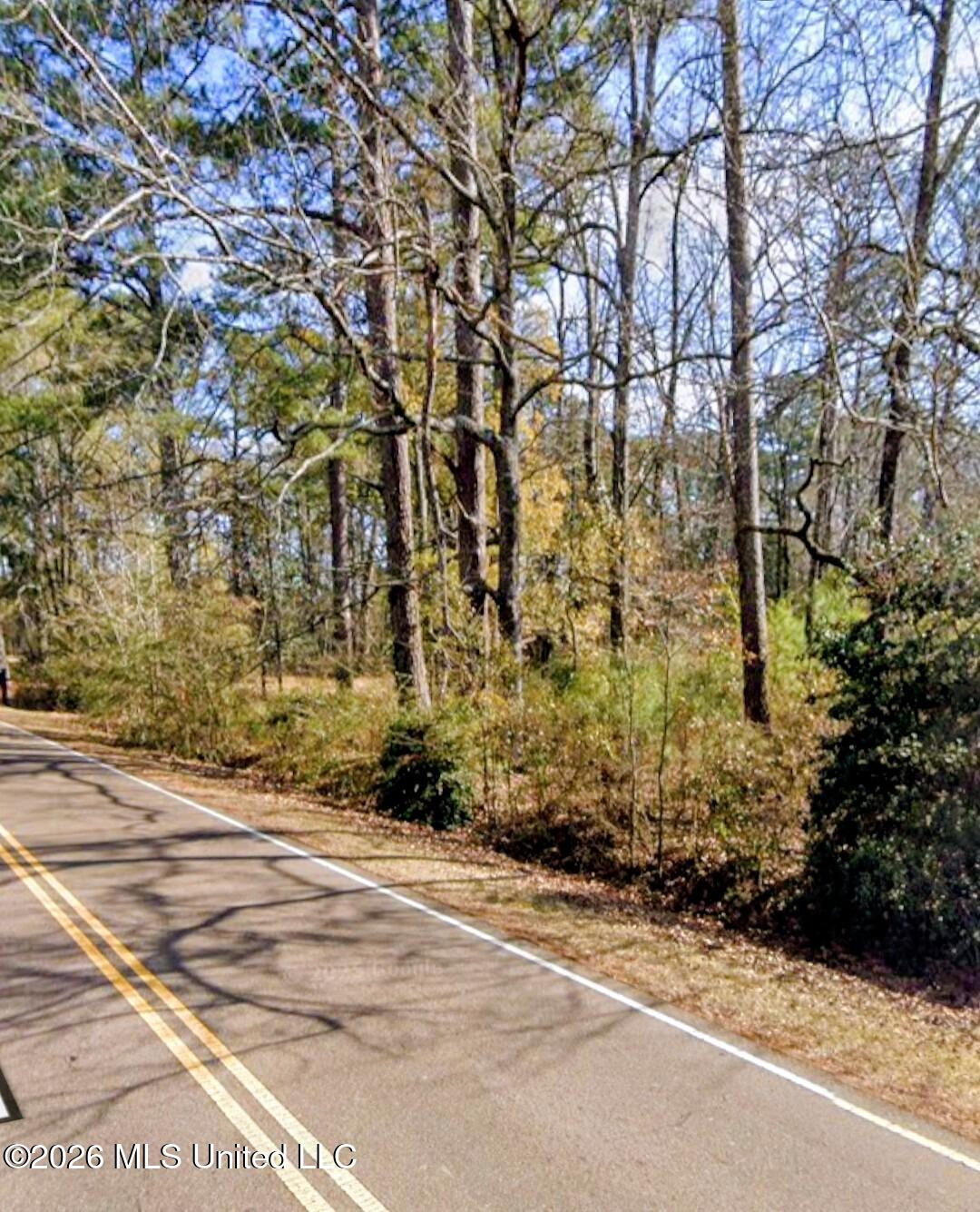 Lakeshore Road Jackson, MS 39212 - Photo 4 of 5 8a14c969-083c-4fbf-a6eb-786b2d1c5562